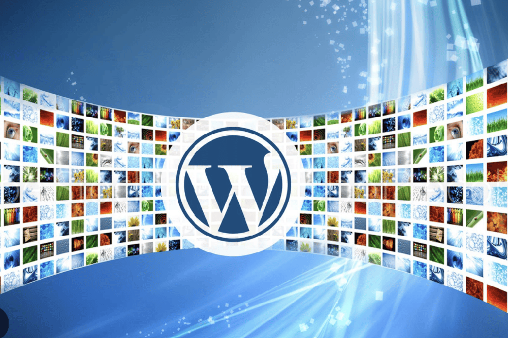 WordPress Development Services
